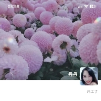 武汉QM，价格便宜的良家兼职！